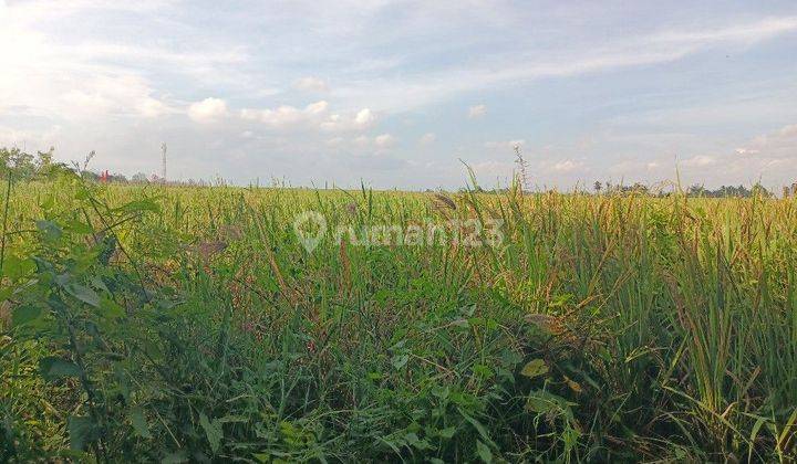 Tanah Zona Pariwisata di Kelating Bali view sawah dan gunung 1