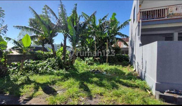 Tanah di Bedugul Bali hanya 50 meter dari jalan Kebun Raya 2