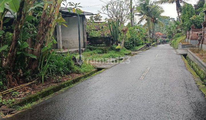 Yellow Zone land near the Mengwi Badung Bali Toll Exit 1