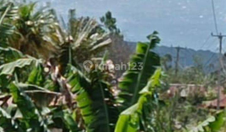 Tanah view lembah dan laut di Wanagiri Singaraja Bali 1