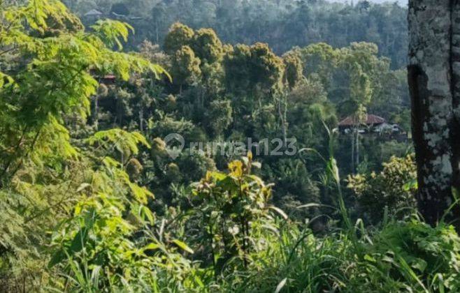 Tanah view lembah dan laut di Wanagiri Singaraja Bali 2