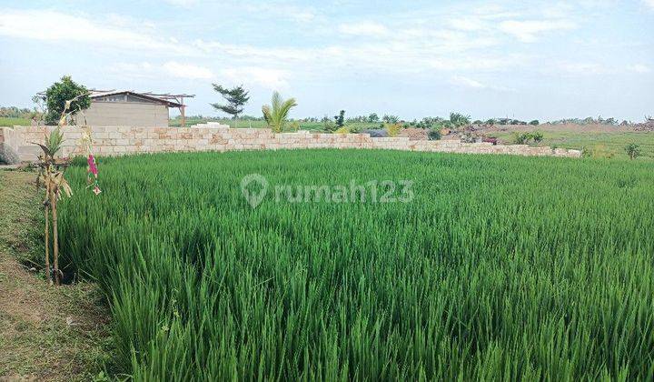 Land with views of rice fields and mountains near Pasut and Kelating Bali 1