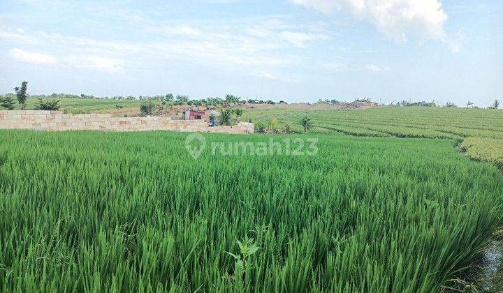 Land with views of rice fields and mountains near Pasut and Kelating Bali 2