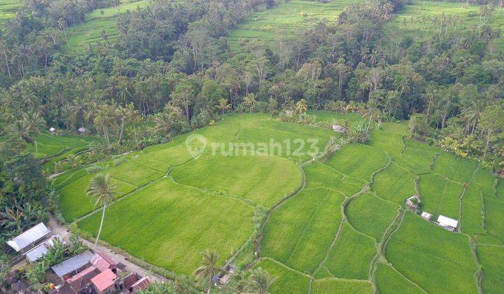 Tanah di Kenderan Ubud Bali dekat Manuaba waterfall 2