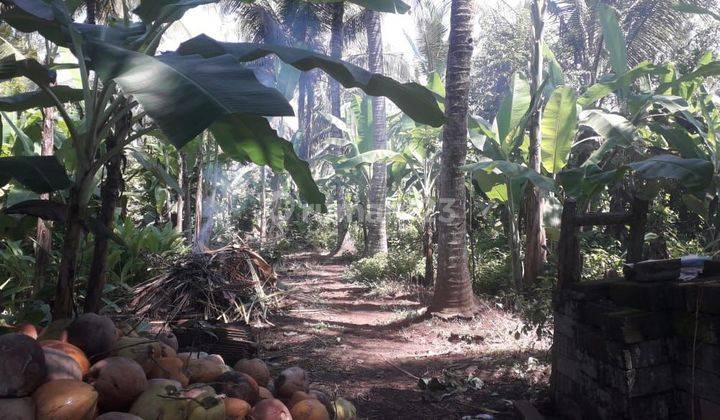 Tanah Pink Zone dekat Pantai Balian Bali 2