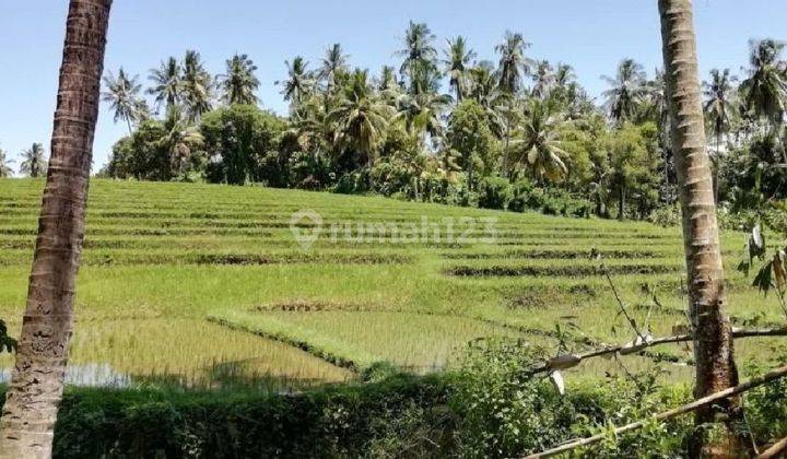 Tanah Pink Zone dekat Pantai Balian Bali 1