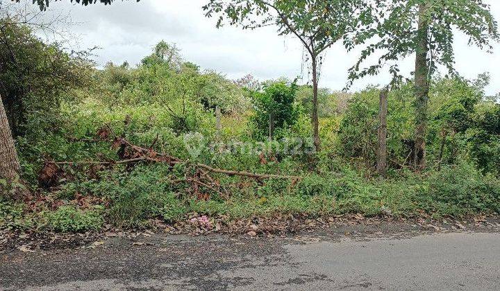 Tanah di Pura Masuka Ungasan Bali dekat Jalan Uluwatu 1