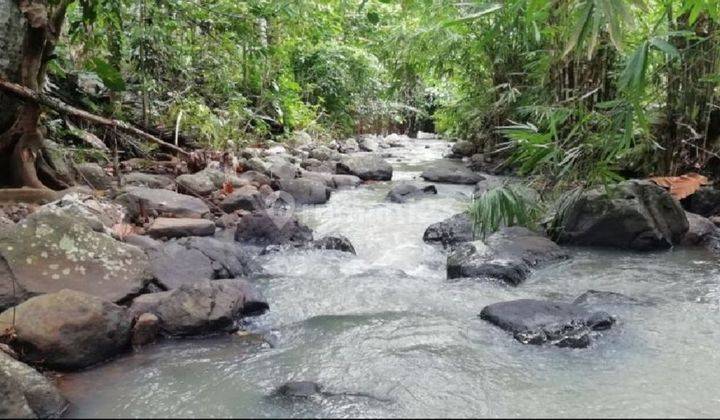 Tanah view sungai di Selemadeg Tabanan dekat air terjun 1