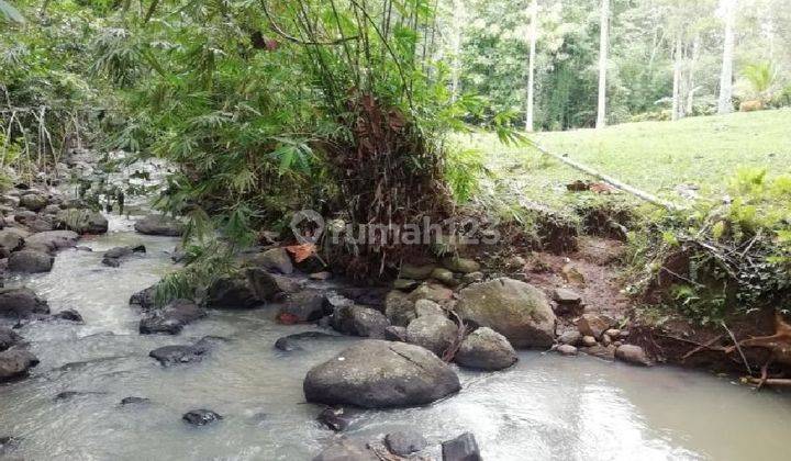 Tanah view sungai di Selemadeg Tabanan dekat air terjun 2