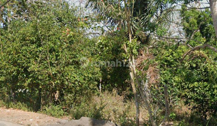 Land for Leasehold in Pecatu Bali only 15 minutes to Bingin 2