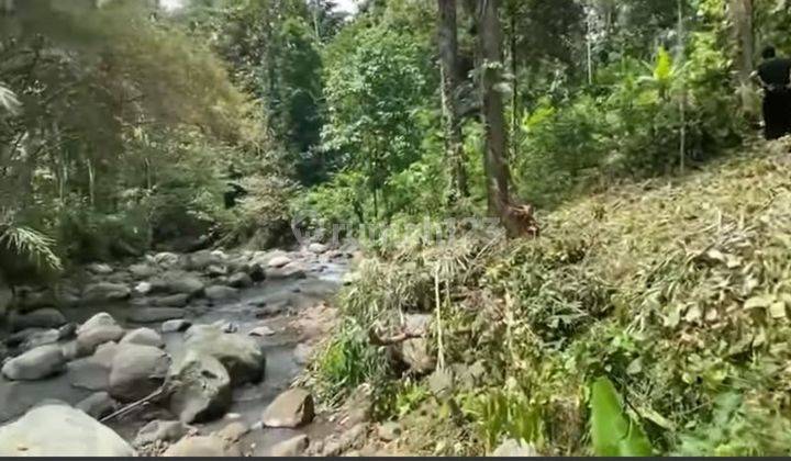 Kebun durian dan manggis view sungai dekat Belimbing Tabanan Bali 1