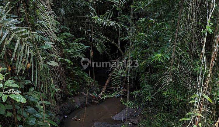 Tanah View Sungai Dan Jungle Di Keliki Ubud Bali 1