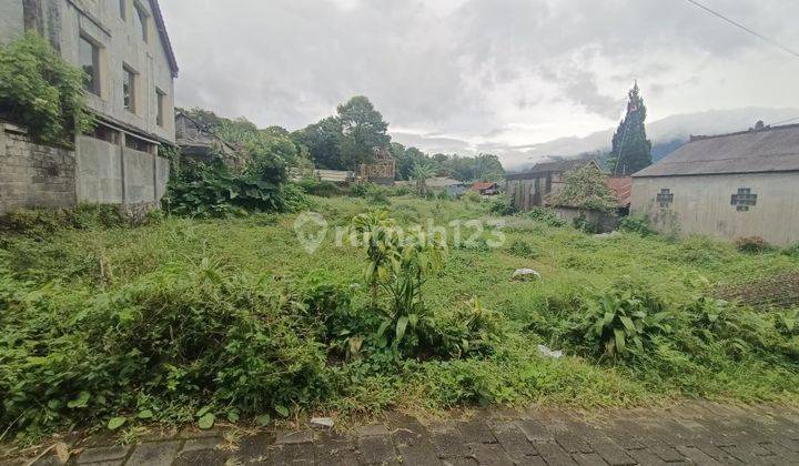 Tanah di Bedugul Bali hanya 50 meter dari jalan Kebun Raya 2