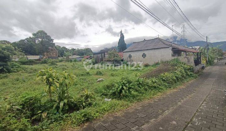 Tanah di Bedugul Bali hanya 50 meter dari jalan Kebun Raya 1