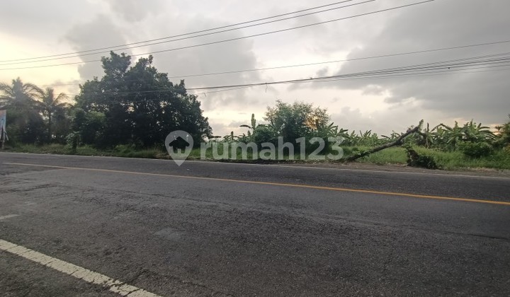 The main road land of Tirta Tawar Ubud Bali