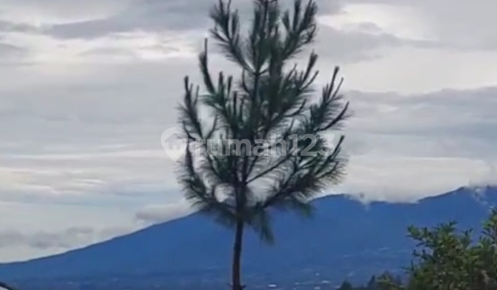 Tanah di Jalan Utama Kintamani Dekat Penelokan Danau Batur Tanah di Jalan Utama Kintamani Dekat Penelokan Danau Batur
