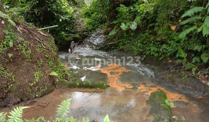 Tanah Zona Kuning Ada Mata Air Panas di Penebel Tabanan Bali Tanah Zona Kuning Ada Mata Air Panas di Penebel Tabanan Bali