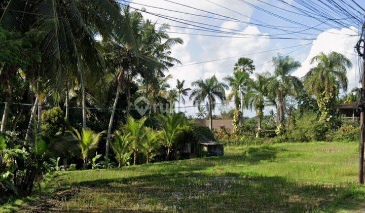 Land For Leasehold In Main Road Tirta Tawar Ubud Bali 2