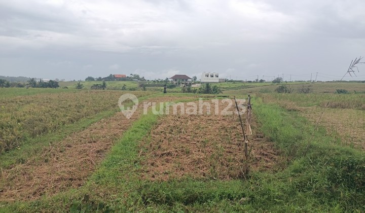 Flat land with sea view 10 minutes to Savaya Bali