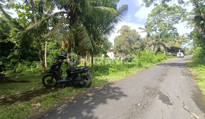 Land in Tabanan Bali near Soka and Balian Beaches