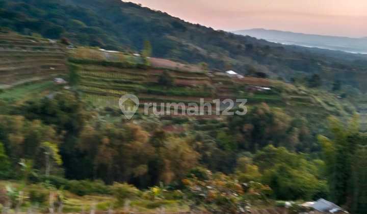 Garden Land Near Talasi Estate And Alassari Plantation Bali Garden Land Near Talasi Estate And Alassari Plantation Bali