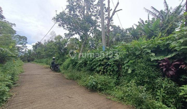 Tanah di Wanagiri Singaraja dekat Altavista Bali Mountain Villa 1