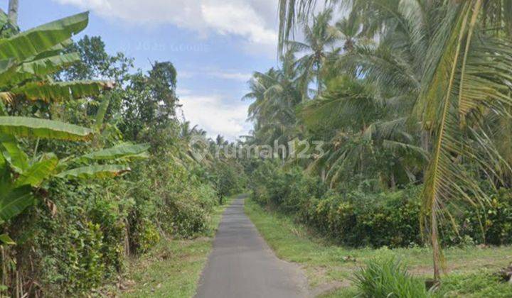 Tanah Zona Industri Di Candikusuma Melaya Jembrana Bali 1