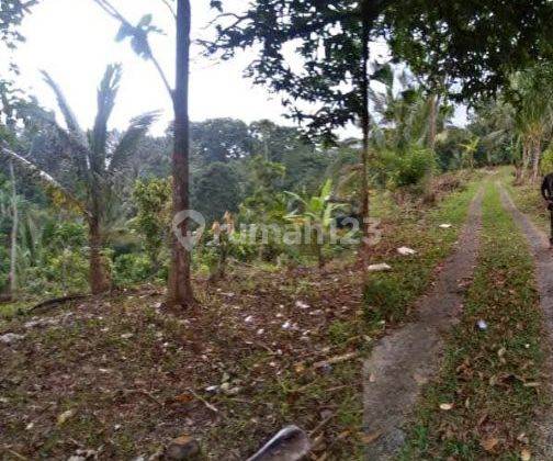 Garden Land Near Talasi Estate And Alassari Plantation Bali 2