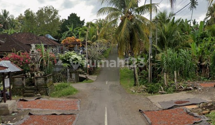 Garden Land Sea View 10 Minutes to Medewi Beach Pekutatan Bali Garden Land Sea View 10 Minutes to Medewi Beach Pekutatan Bali