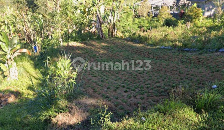Land in the Sibang Badung Trade Zone (red zone) is suitable for business Land in the Sibang Badung Trade Zone (red zone) is suitable for business