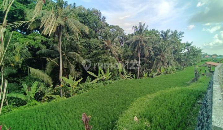 Tanah View Jungle Di Tegallalang 15 Menit Dari Ubud Center 1