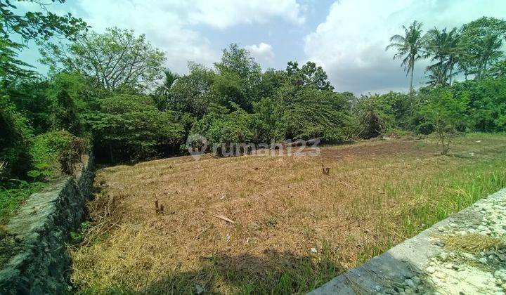Tanah View Sawah Dan Jungle 5 Kilometer Ke Pantai Kedungu Bali 1