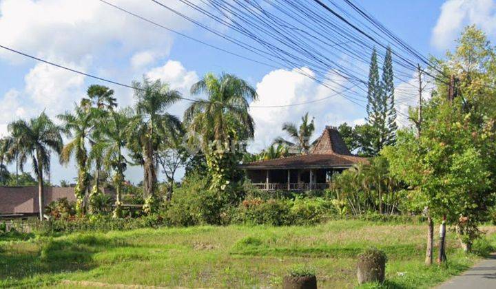 Land For Leasehold In Main Road Tirta Tawar Ubud Bali 1