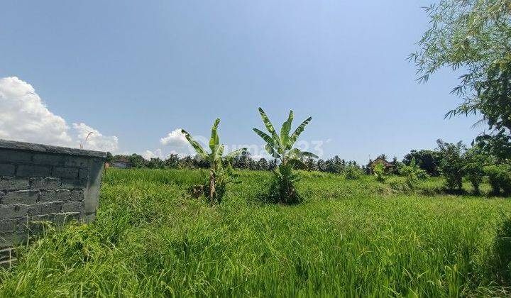 Land For Leasehold In Tebongkang Ubud Near Pepito 1