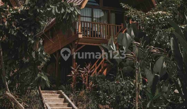 Eco Resort View River and Jungle in Bali