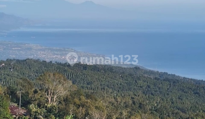 Land with sea and valley views near Munduk and Wanagiri