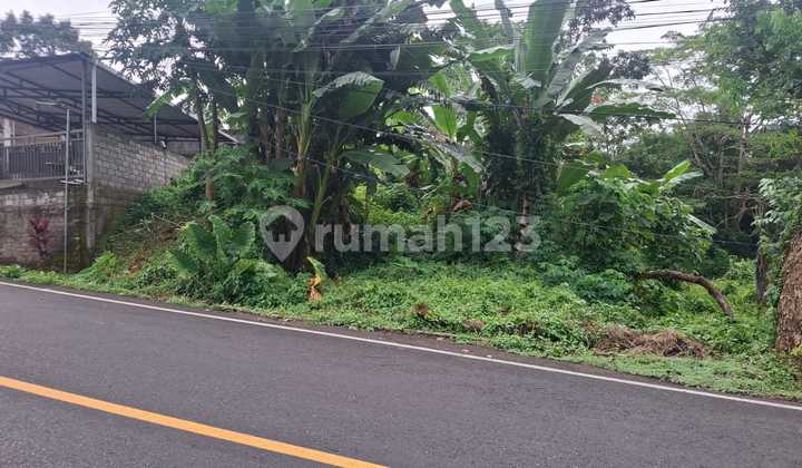 Land on Denpasar-Gilimanuk Main Road Near Antosari Toll Exit