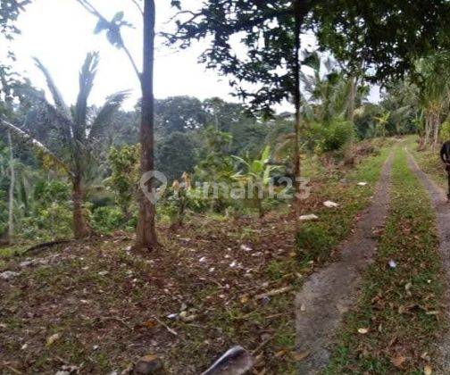Tanah Kebun Dekat Talasi Estate Dan Alassari Plantation Bali 2