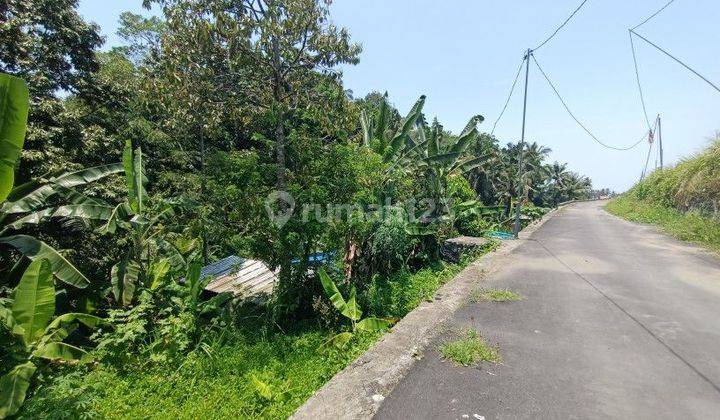 Tanah View Jungle Di Tegallalang 15 Menit Dari Ubud Center 2