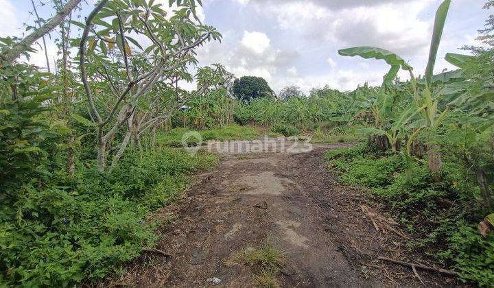 Tanah Siap Bangun Di Sempidi Dekat Puspem Badung Bali 2