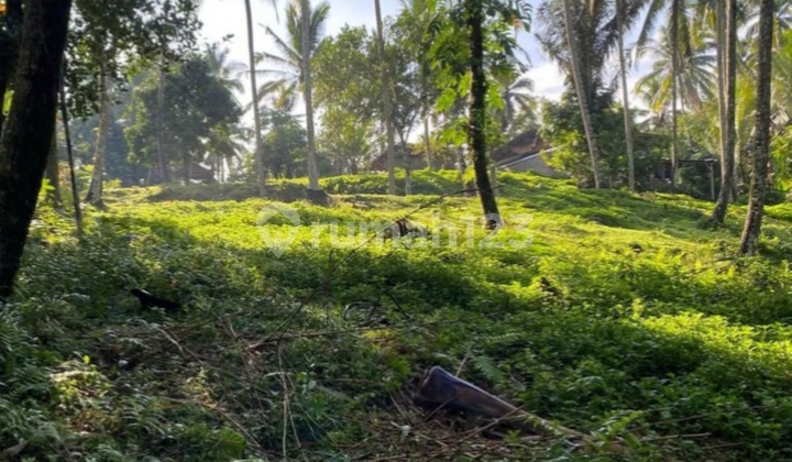 Flat land with views of rice fields near Bebali Beach and Kelecung Beach, Bali