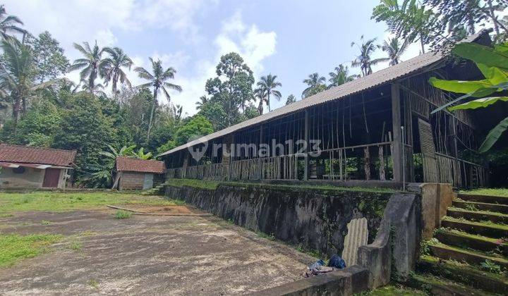 Kebun Durian Dan Manggis Di Pupuan Tabanan Bali 2