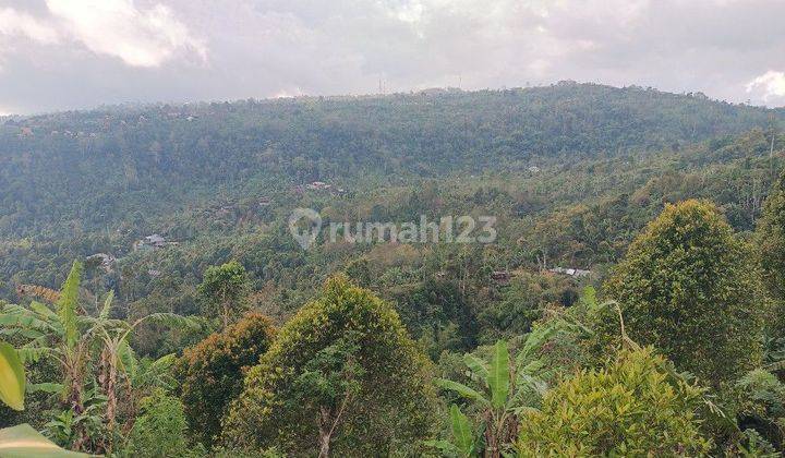 Tanah View Gunung dan Lembah di Munduk Singaraja Bali 1