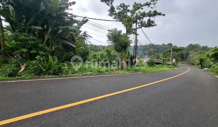 Land on Denpasar-Gilimanuk Main Road Near Antosari Toll Exit