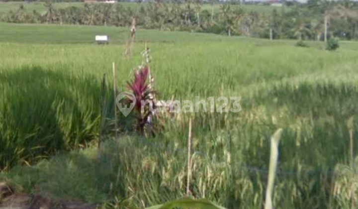 Tanah View Sawah Dekat Pantai Kelecung Bali 1