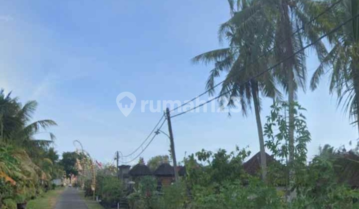 Tanah View Sawah Dekat Pantai Kelecung Bali 2
