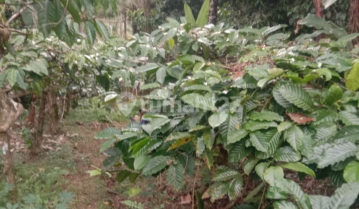 Land near Bali Buda Ungasan and the main road Uluwatu Bali