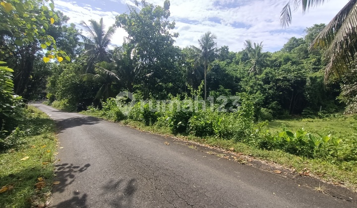 Land in Tabanan Bali near Soka and Balian Beaches