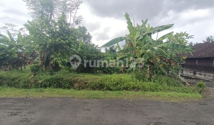 Tanah Zona Kuning Dekat Pantai Selabih Tabanan Bali