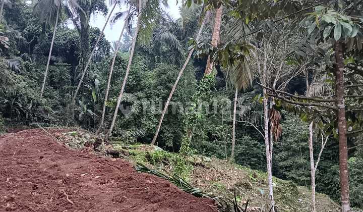 Land with rice field view, strategic location near Ubud Center Bali Land with rice field view, strategic location near Ubud Center Bali